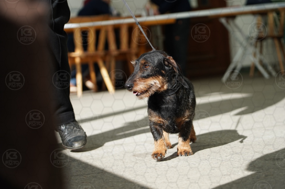 s_A9_09254.jpg